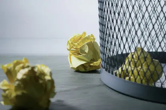 BIN THE BIN Scheme