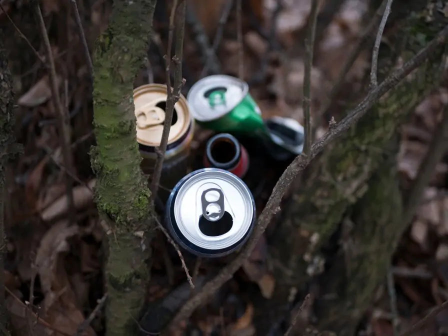 Drinks Can in Sheep’s Mouth Highlights the Blight of Rural Litter