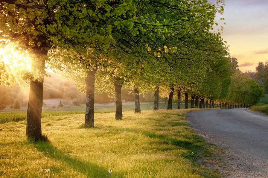 The UK’s Growing Litter Army: LOVE Norfolk, HATE litter