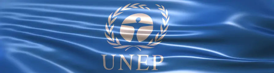 The Global Fight Against Litter - UN CleanSeas Campaign