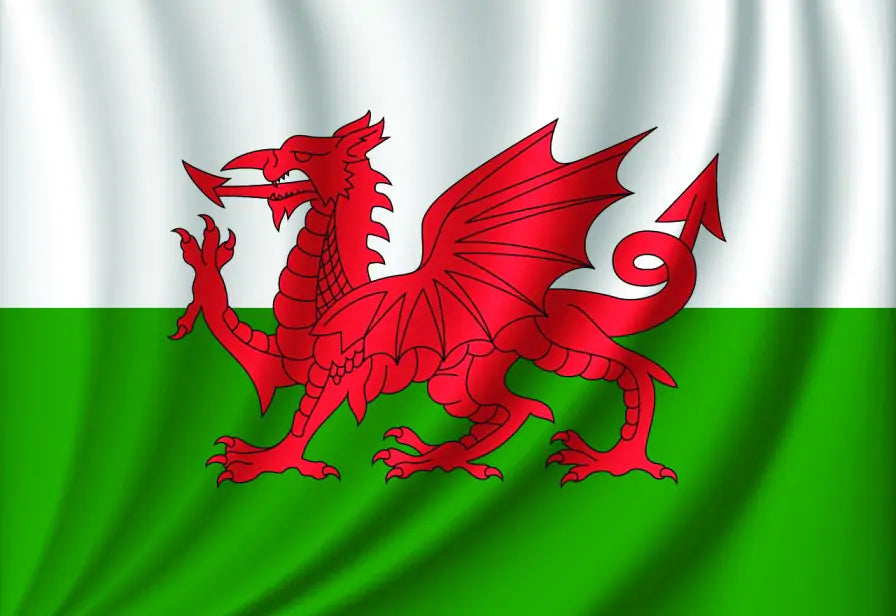Broadcast from the Bins - Wales Green Taxes
