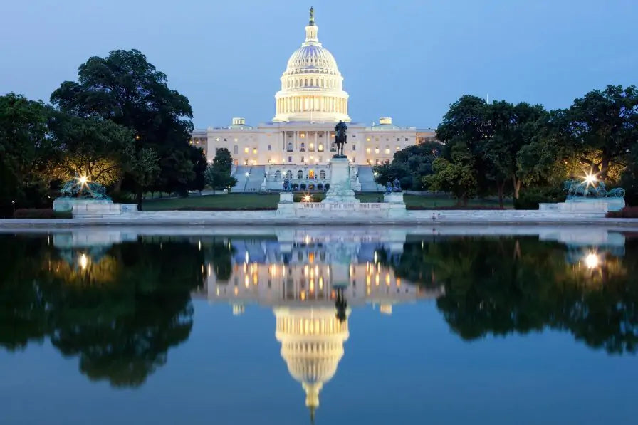 The World’s Greenest Cities: Washington DC, USA