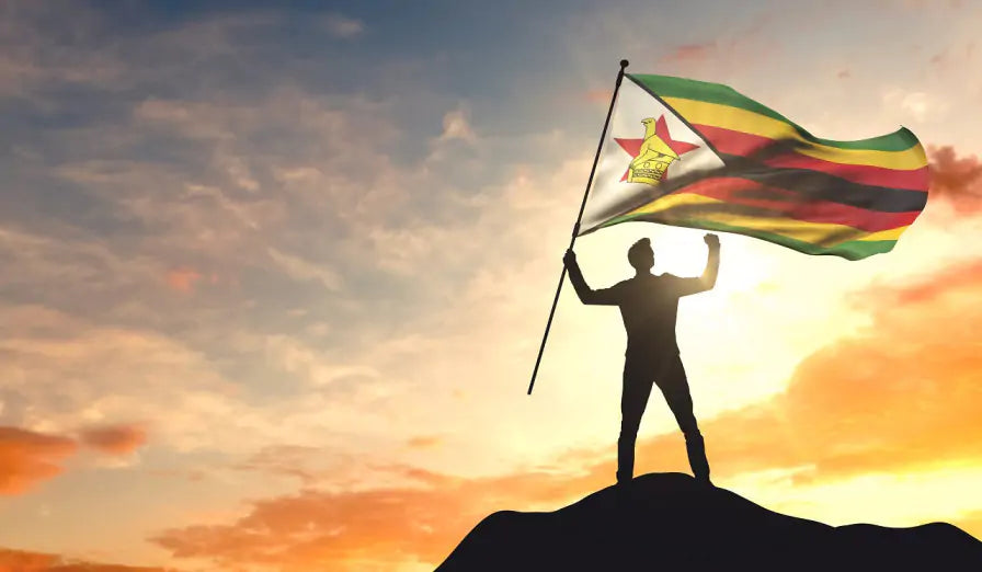 The Global Fight Against Litter: Zimbabwe