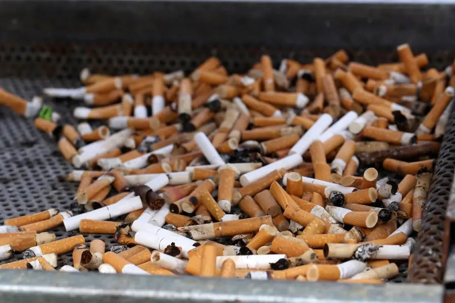 Cigarette Butts Account for Half of Ireland’s Litter