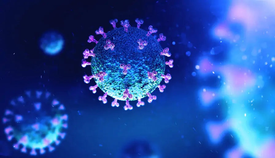 How Can You Stop the Coronavirus from Spreading In Your Workplace?