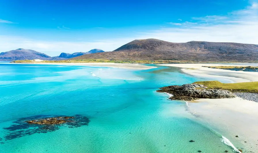 Charities Join Forces to Tackle Scotland's Marine Litter
