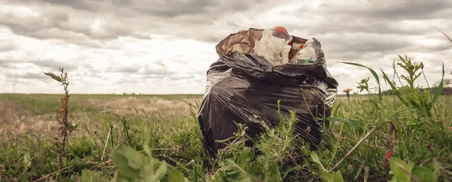 Effects of Littering on the Environment