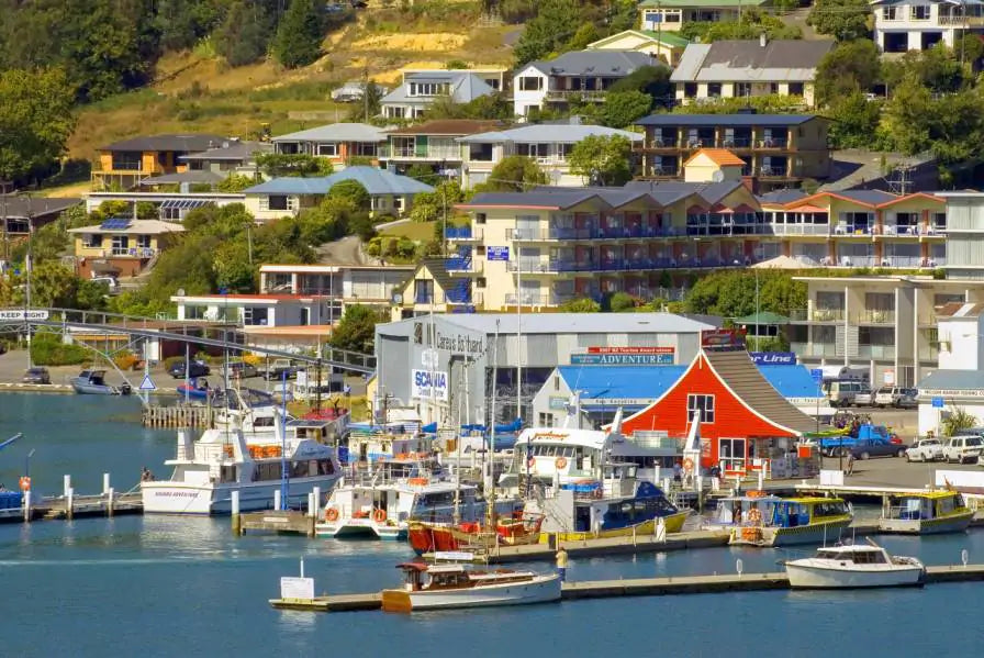 The Global Fight Against Litter: Malborough, New Zealand