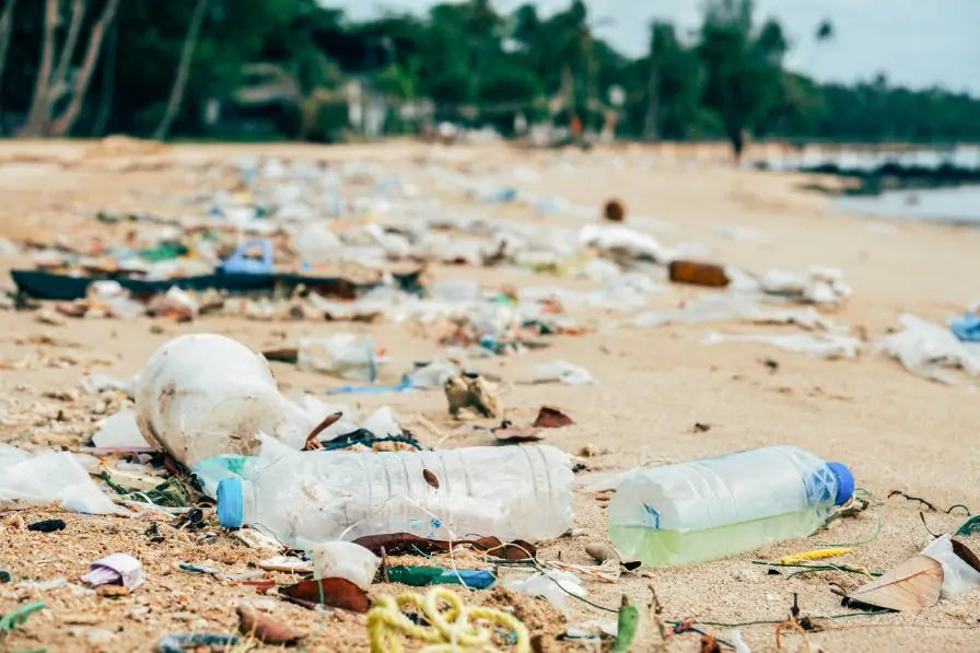 Shetland Residents Angered By Worst Marine Litter in the World Claims