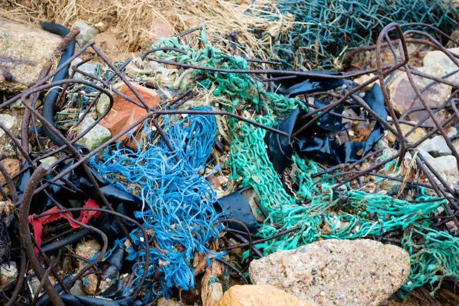Scotland Holds Its First Ever Marine Litter Summit