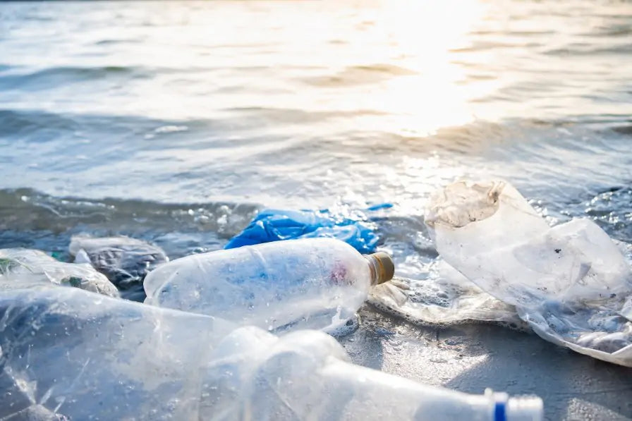 PhD Student Wins Prestigious Scholarship to Study Ocean Plastics