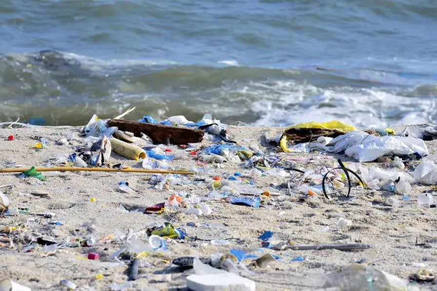 Broadcast from the Bins - The Rise of Marine Litter