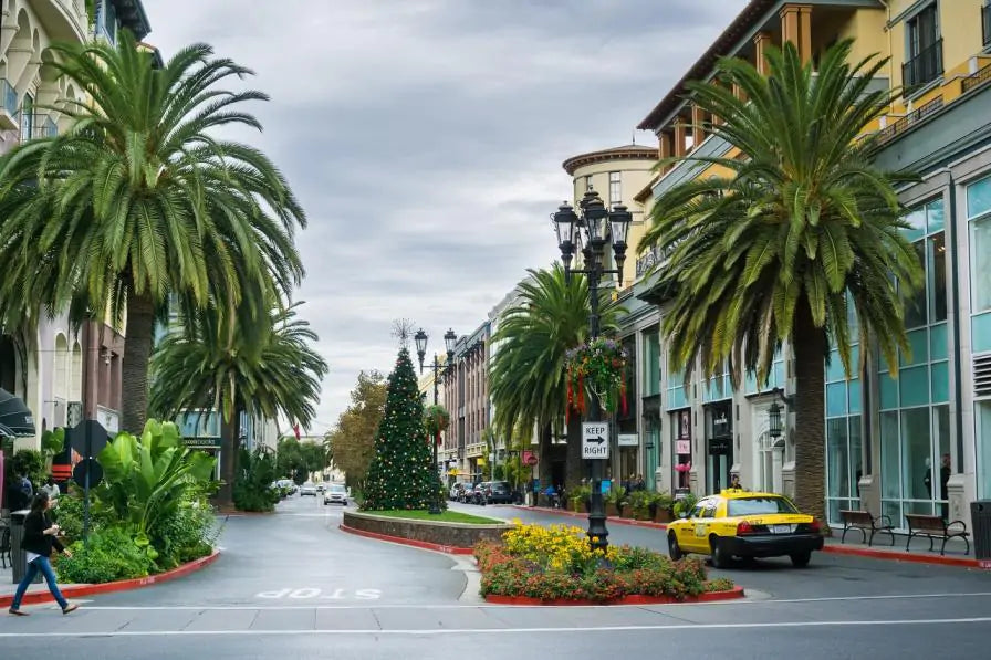 The Global Fight Against Litter: San Jose