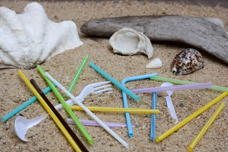 Single Use Plastic Blamed for Rise in Beach Litter