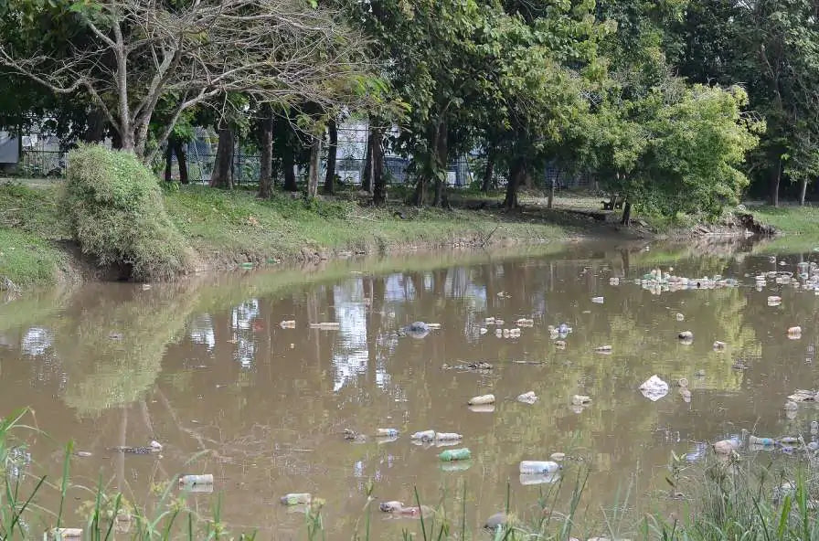 Broadcast From the Bins: Battling Against the Tide of Waterborne Rubbish