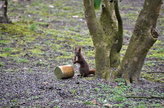 Litter in Parks is Everyone’s Problem