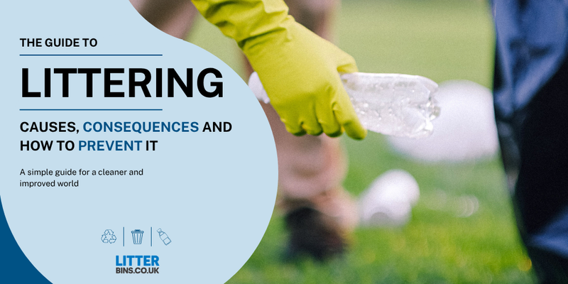 A Guide to Littering: Causes, Consequences, and How to Prevent It
